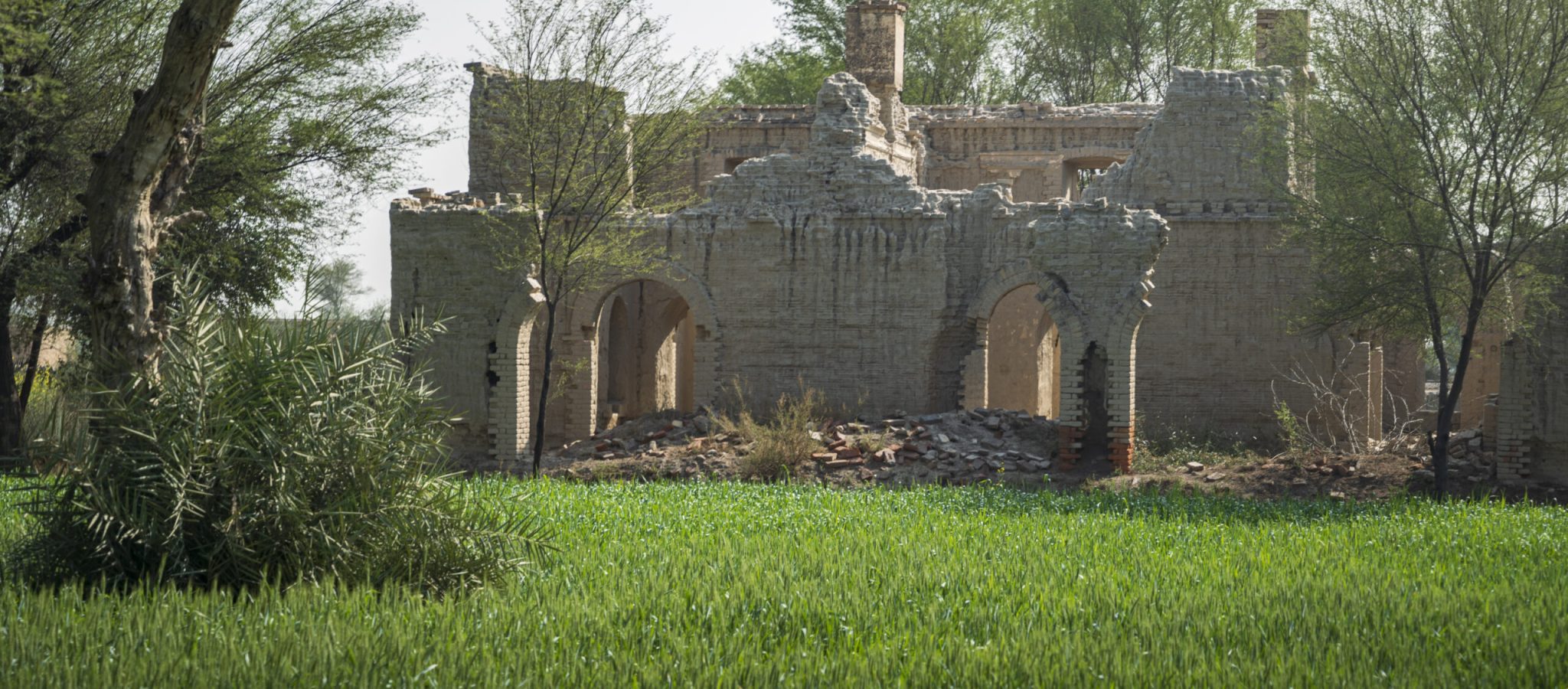 TSC05049 1 Scaled Rjaa8gdkxyvch6a22qw2h5ml3pjb8a2hg2vk2h08bs